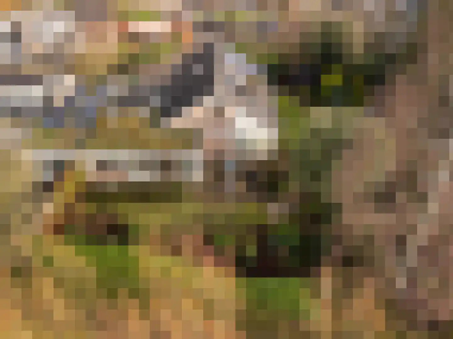 John F. Kennedylaan 124 Woudenberg thumbnail 42