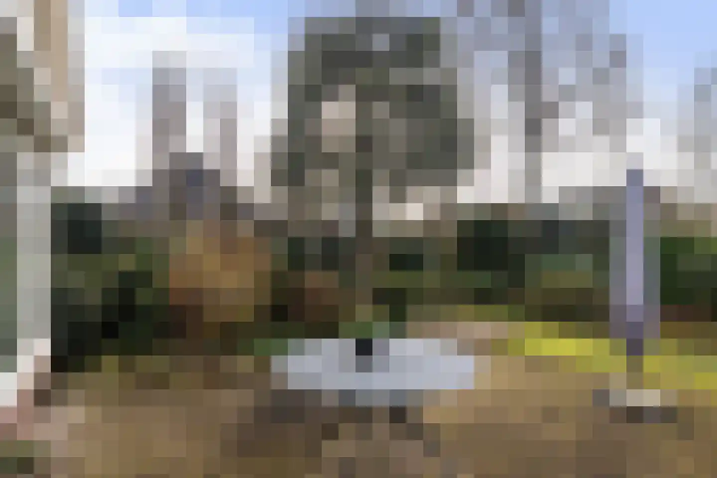John F. Kennedylaan 124 Woudenberg thumbnail 45