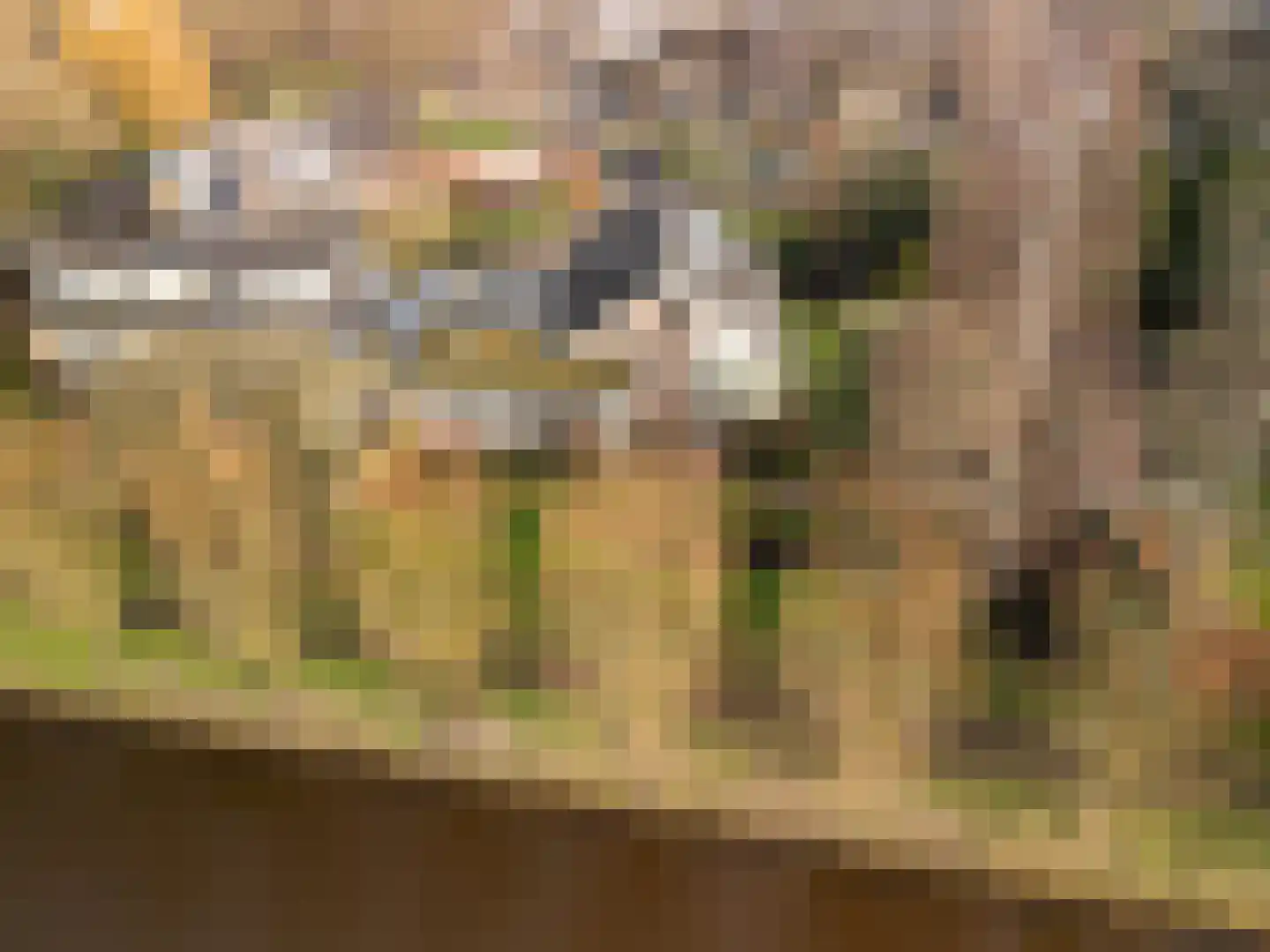 John F. Kennedylaan 124 Woudenberg thumbnail 52