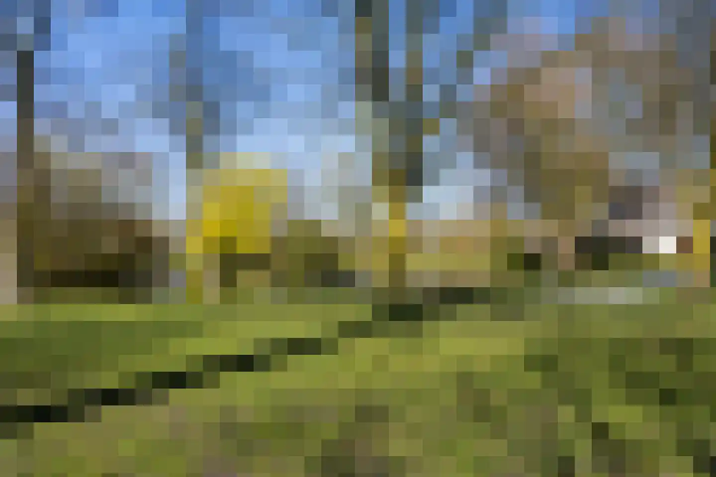 John F. Kennedylaan 124 Woudenberg thumbnail 58