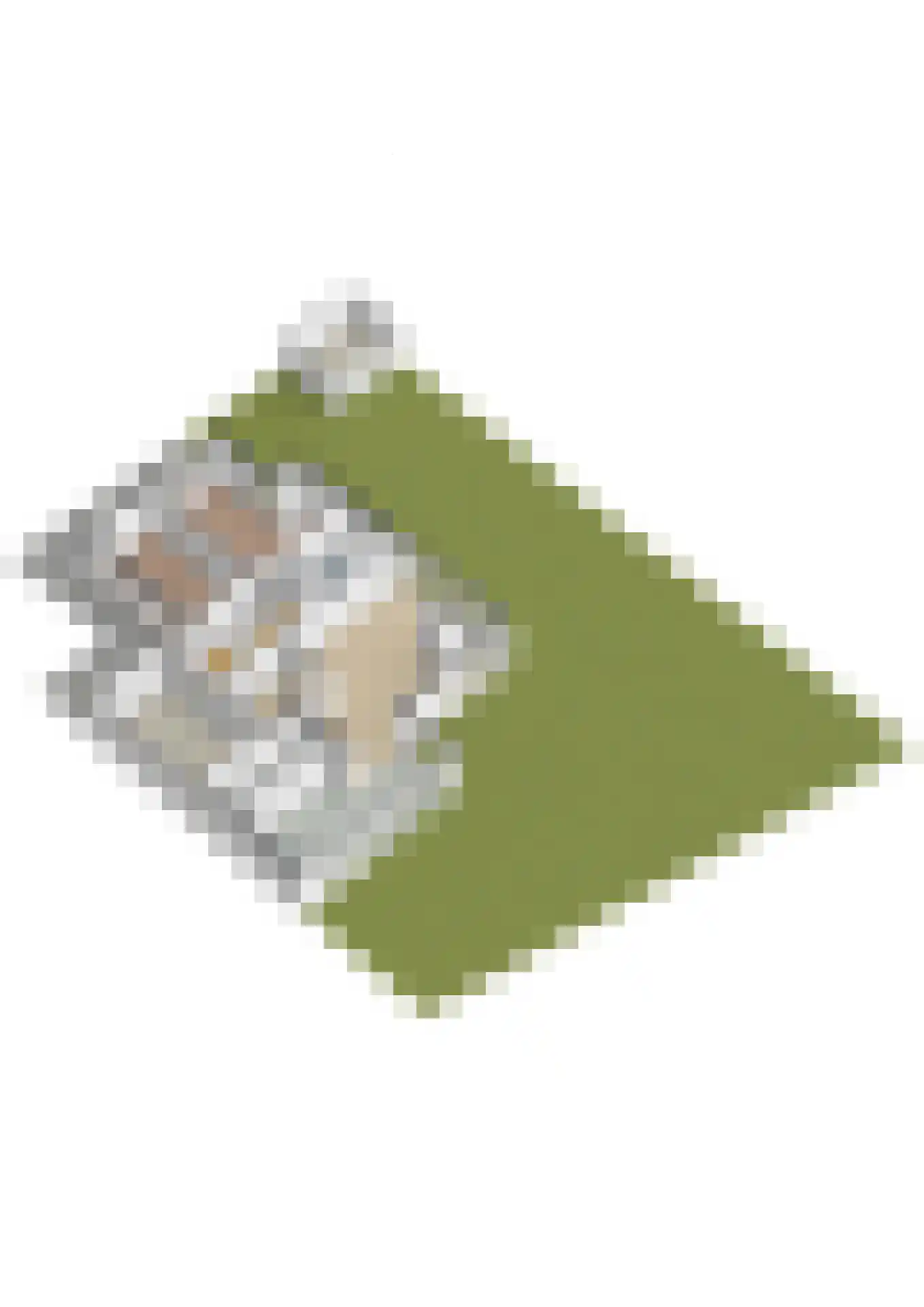 John F. Kennedylaan 124 Woudenberg thumbnail 71