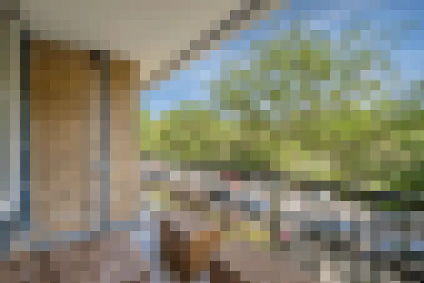 John F. Kennedylaan 153 Rijswijk thumbnail 17