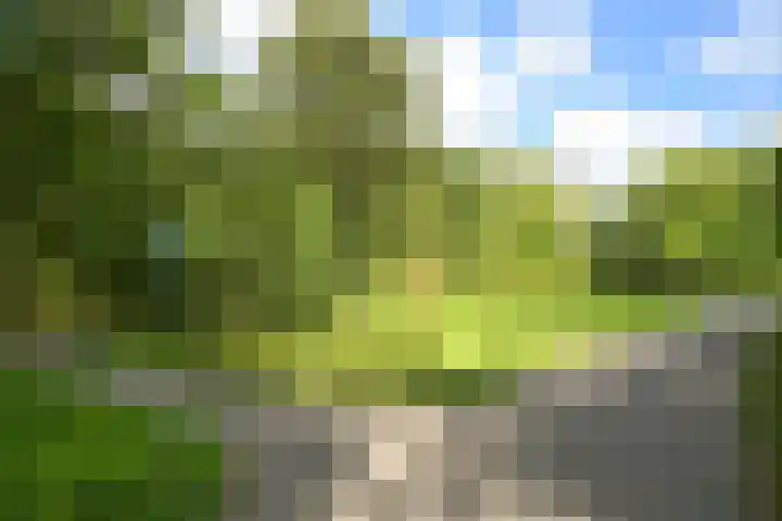 John F. Kennedylaan 241 Rijswijk thumbnail 31