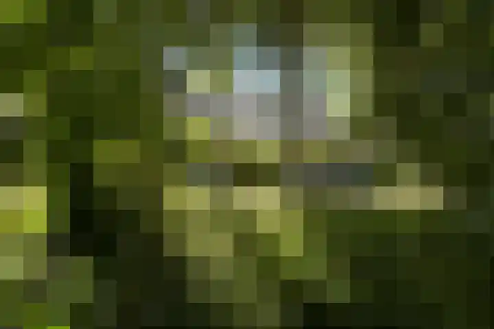 John F. Kennedylaan 241 Rijswijk thumbnail 32