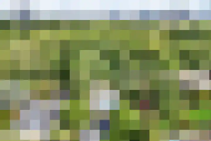 John F. Kennedylaan 241 Rijswijk thumbnail 33