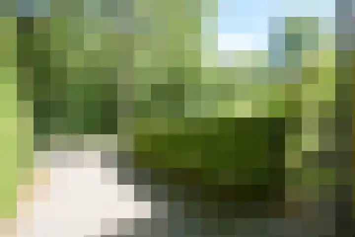 John F. Kennedylaan 241 Rijswijk thumbnail 35