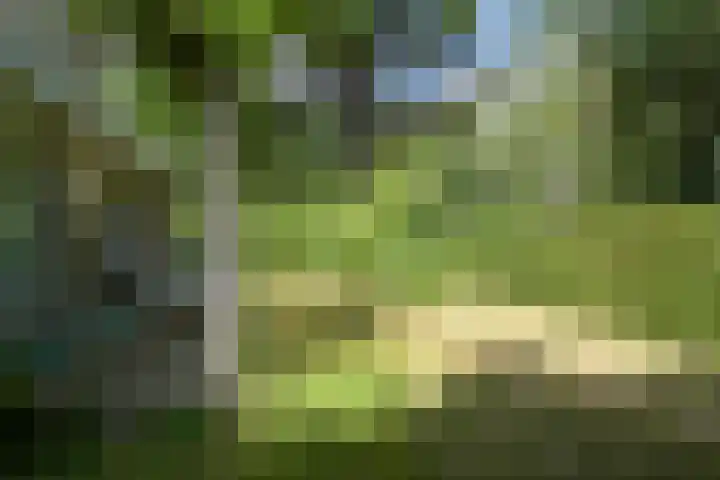 John F. Kennedylaan 241 Rijswijk thumbnail 39