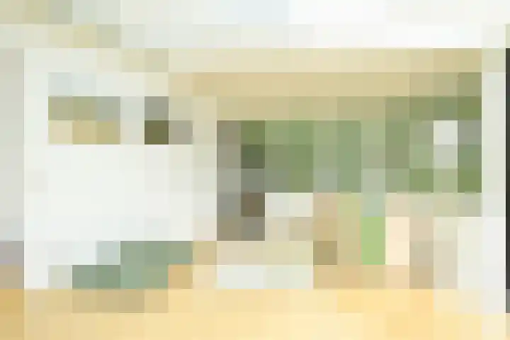 John F. Kennedylaan 241 Rijswijk thumbnail 46