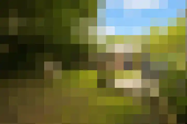 John F. Kennedylaan 241 Rijswijk thumbnail 5