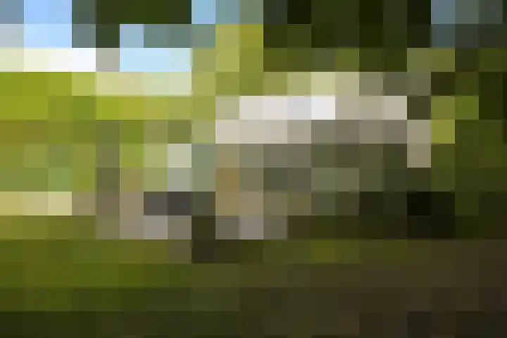 John F. Kennedylaan 241 Rijswijk thumbnail 53