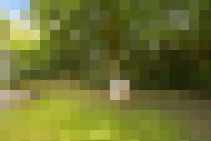John F. Kennedylaan 241 Rijswijk thumbnail 54