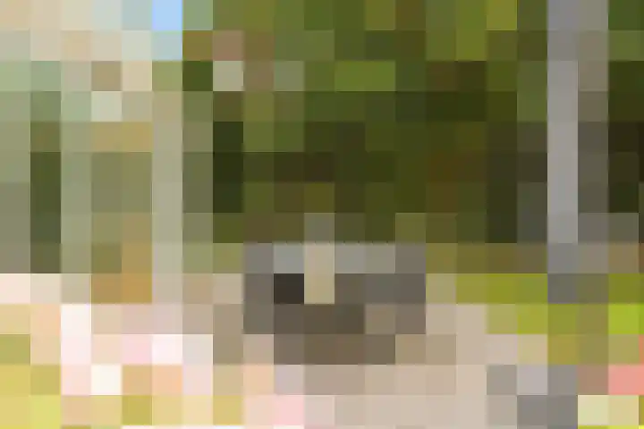 John F. Kennedylaan 241 Rijswijk thumbnail 55