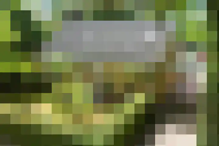John F. Kennedylaan 241 Rijswijk thumbnail 6