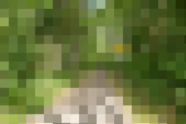 John F. Kennedylaan 241 Rijswijk thumbnail 77