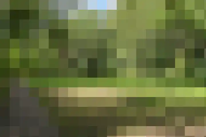 John F. Kennedylaan 241 Rijswijk thumbnail 78
