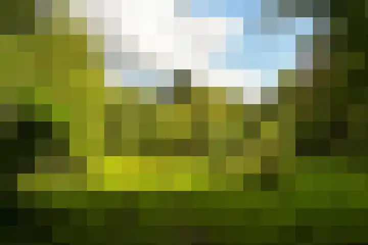 John F. Kennedylaan 241 Rijswijk thumbnail 79