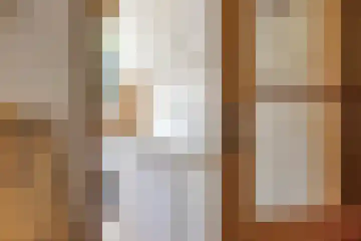 John F. Kennedylaan 3 Groenlo thumbnail 18
