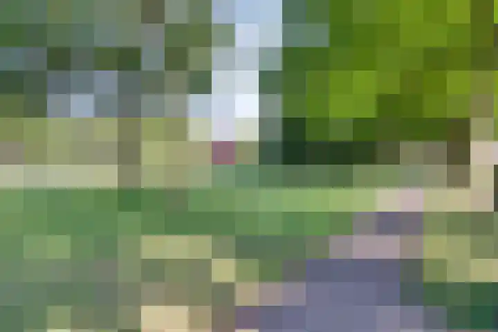 John F. Kennedylaan 3 Groenlo thumbnail 36