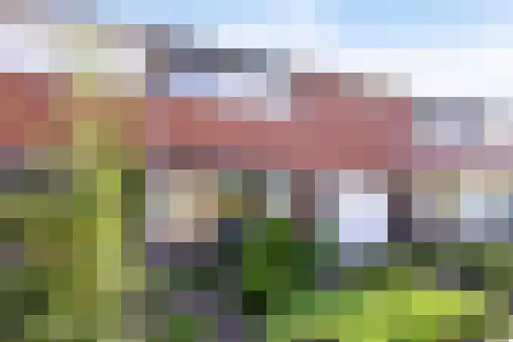 John F. Kennedylaan 3 Groenlo thumbnail 6