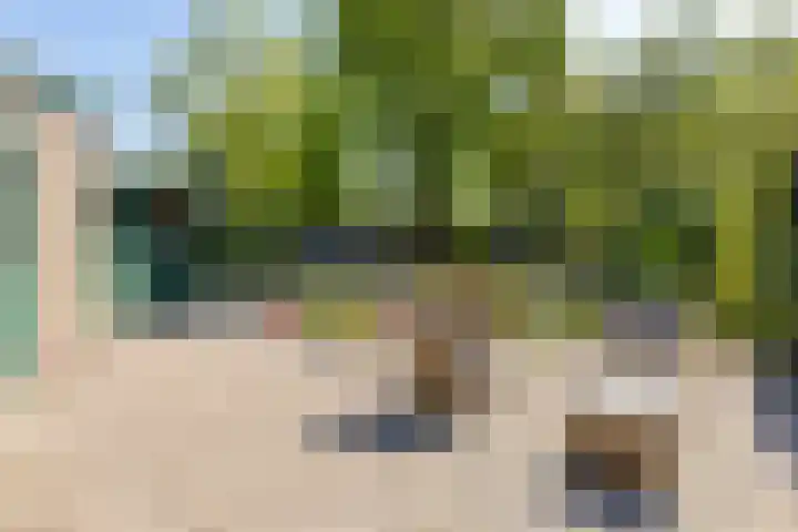 John F. Kennedylaan 32 Muntendam thumbnail 31