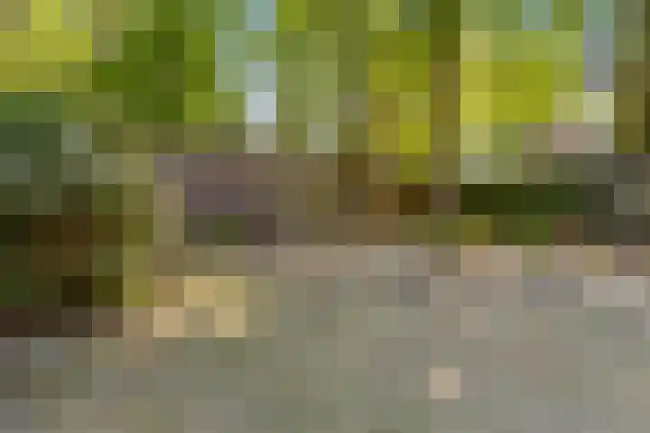 John F. Kennedylaan 32 Muntendam thumbnail 35
