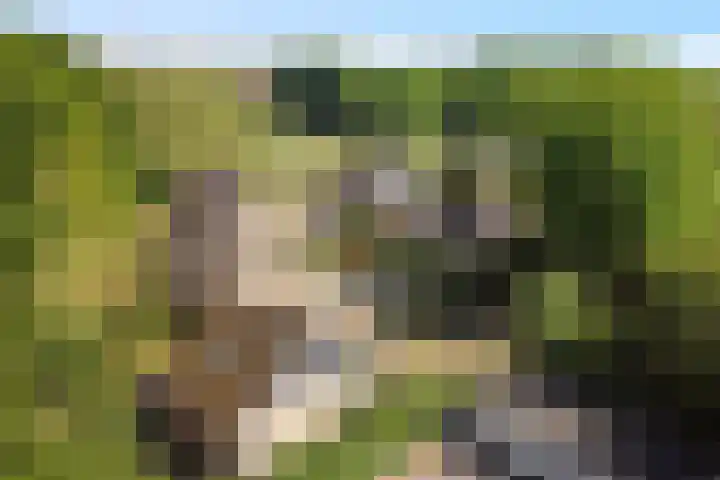 John F. Kennedylaan 32 Muntendam thumbnail 38