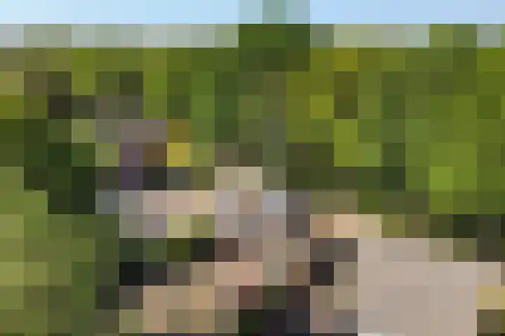 John F. Kennedylaan 32 Muntendam thumbnail 40