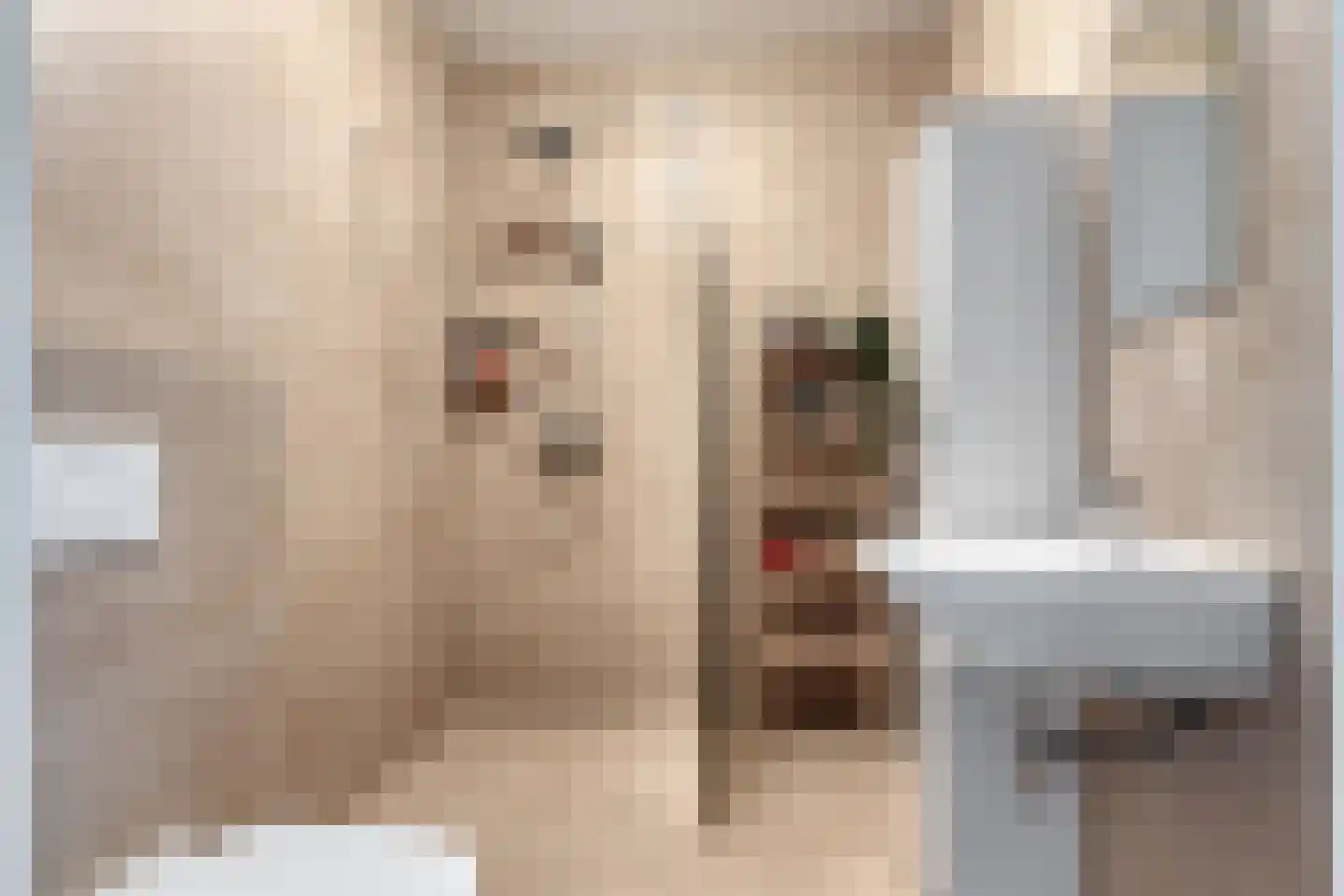 John F. Kennedylaan 36 A Panningen thumbnail 22