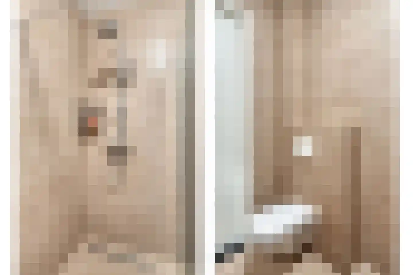 John F. Kennedylaan 36 A Panningen thumbnail 23