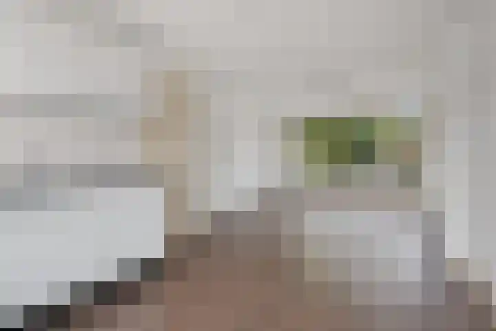 John F. Kennedylaan 4 Vught thumbnail 19