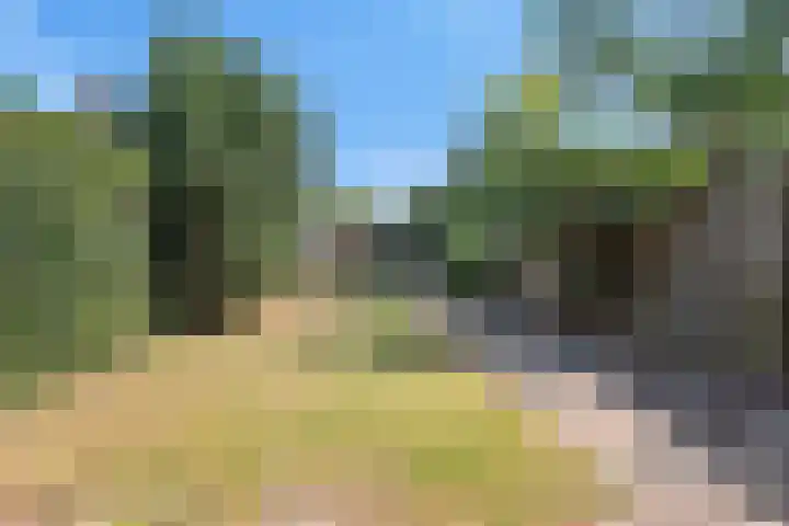 John F. Kennedylaan 4 Vught thumbnail 30