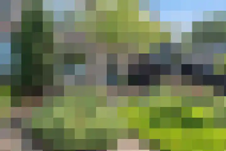 John F. Kennedylaan 4 Vught thumbnail 35