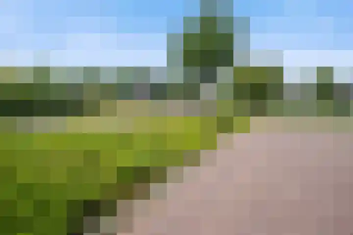 John F. Kennedylaan 4 Vught thumbnail 37