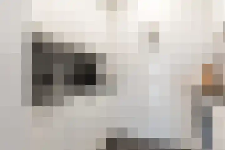John F. Kennedylaan 45 Rijswijk thumbnail 19