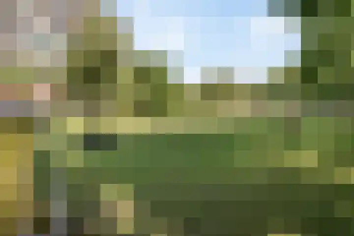 John F. Kennedylaan 45 Rijswijk thumbnail 32