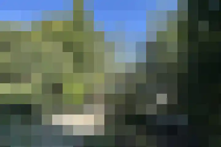 John F Kennedylaan 49 Vleuten thumbnail 24