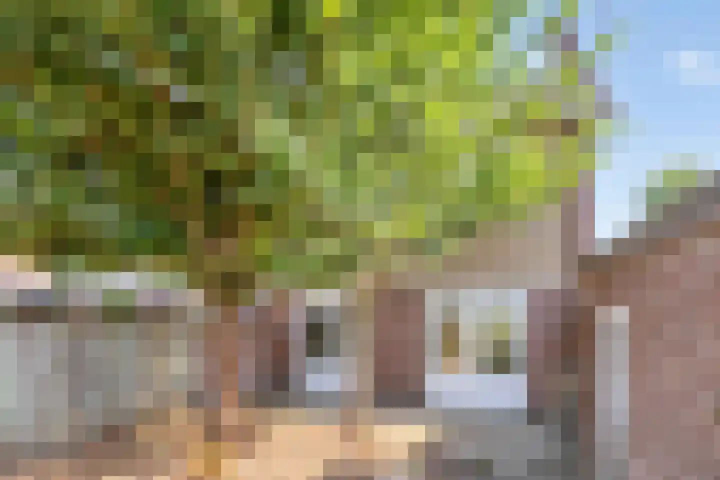 John F. Kennedylaan 56 Panningen thumbnail 27