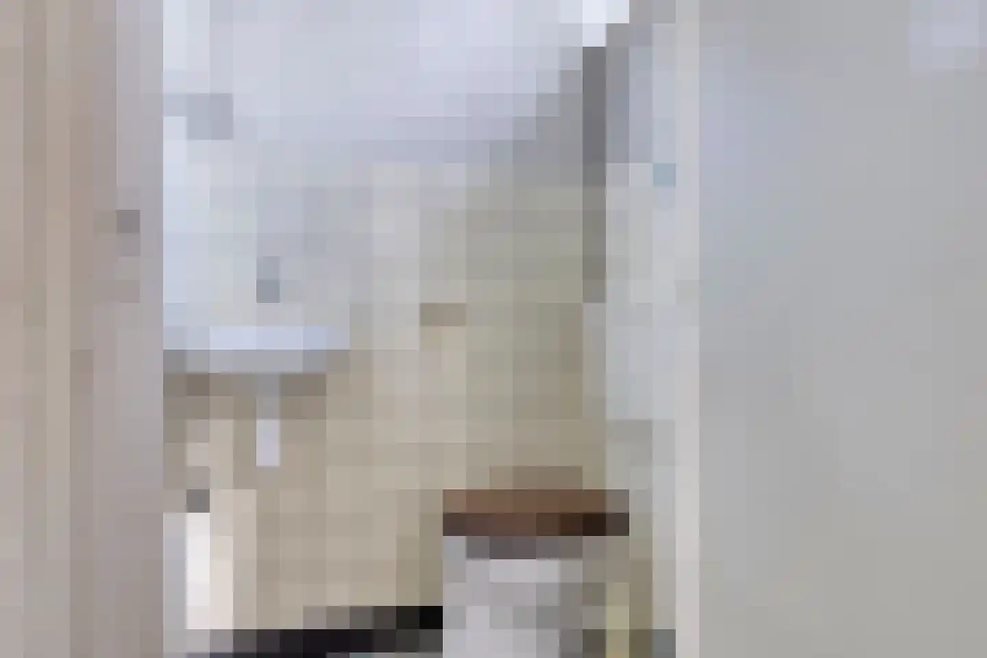 John F. Kennedylaan 56 Panningen thumbnail 8