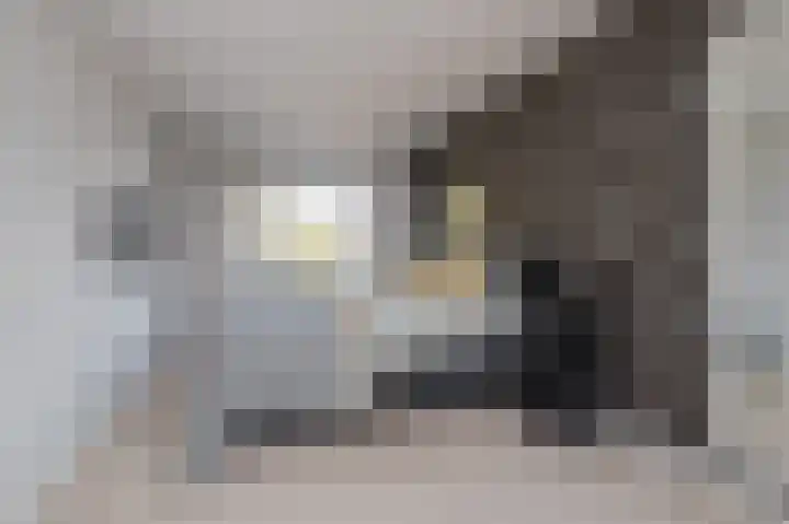 John F. Kennedylaan 6 Bergschenhoek thumbnail 21