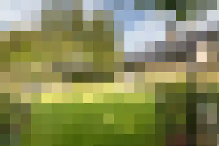 John F. Kennedylaan 6 Bergschenhoek thumbnail 29