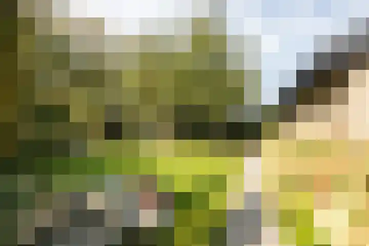 John F. Kennedylaan 6 Bergschenhoek thumbnail 30