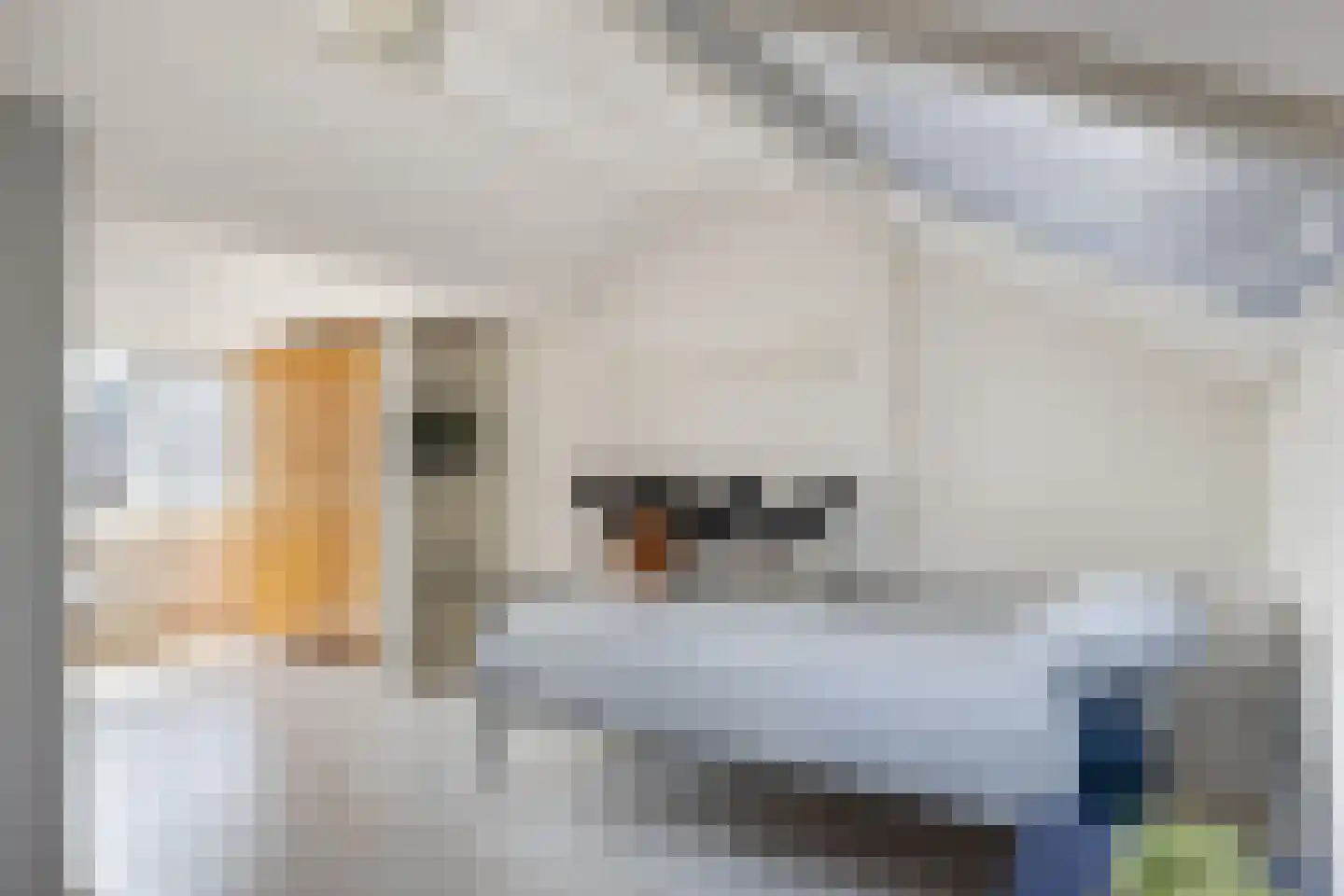John F. Kennedylaan 73 Woudenberg thumbnail 31