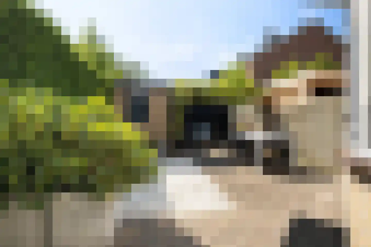John F. Kennedylaan 73 Woudenberg thumbnail 34