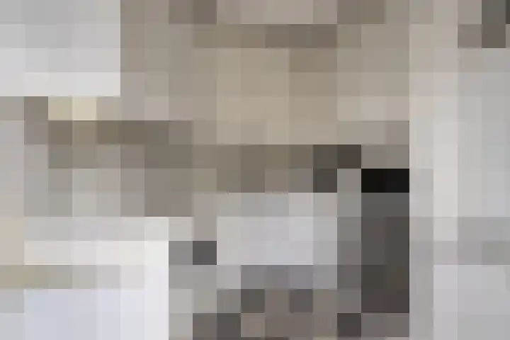 John F. Kennedylaan 78 Panningen thumbnail 13