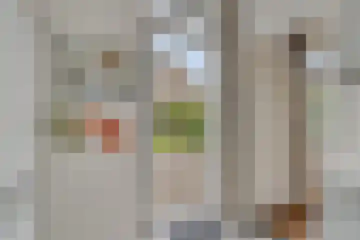 John F. Kennedylaan 78 Panningen thumbnail 14