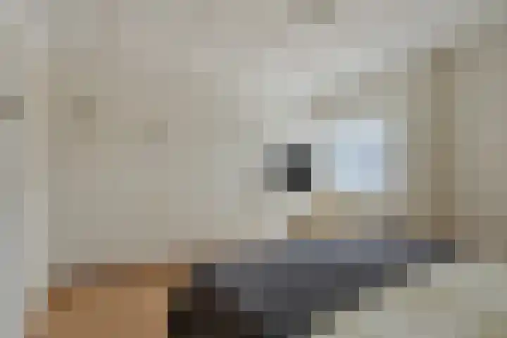 John F. Kennedylaan 78 Panningen thumbnail 18