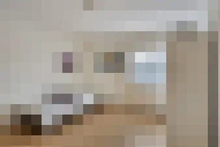 John F. Kennedylaan 78 Panningen thumbnail 22