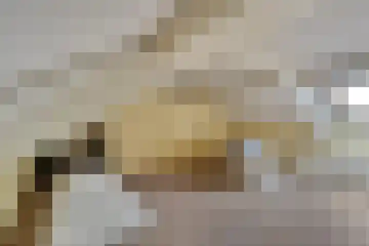 John F. Kennedylaan 78 Panningen thumbnail 26