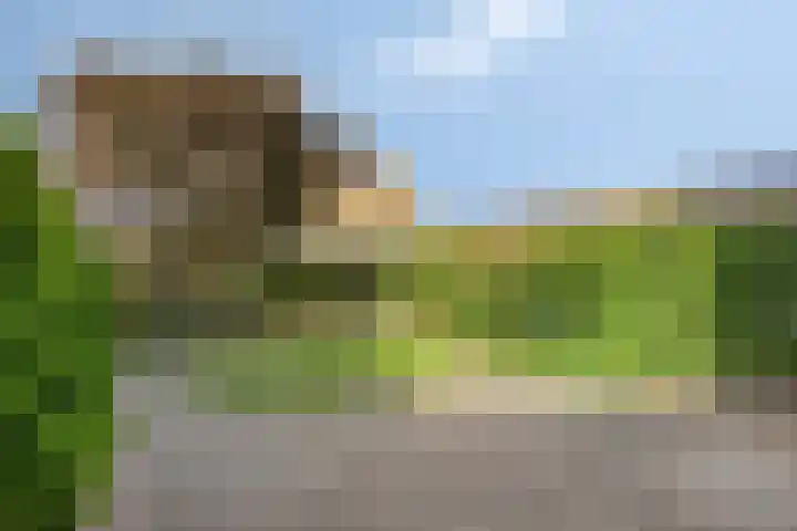 John F. Kennedylaan 78 Panningen thumbnail 28