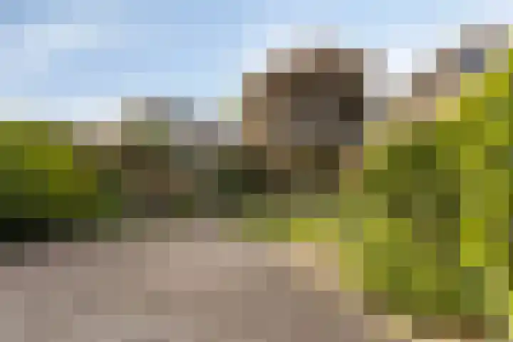 John F. Kennedylaan 78 Panningen thumbnail 30